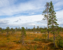 fulufjallet_010b Fulufjällets Nationalpark