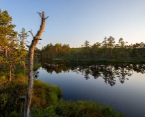 Knuthojdsmossen_009 En av de många små gölarna på Knuthöjdsmossen.