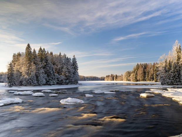 Färnebofjärdens National Park Sweden